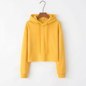 Sweat épaissi femmes décontracté solide à manches longues coupe ample hauts pull femme automne hiver sweats à capuche pour femmes - Product Image 2