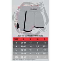 Blaze Fight Wear Sublimation Muay Thai Short De Combat MMA Kick Boxing Grappling Arts Martiaux Rouage