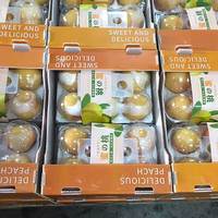 Op maat gemaakte recyclebare voedselveilige PP voor fruitverpakkingen, golfkartonnen plastic bak