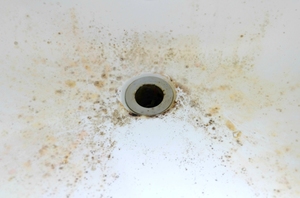 Công Thức Mạnh Mẽ Để Làm Sạch Cống Và Bồn Rửa Bị Tắc - Product Image 6