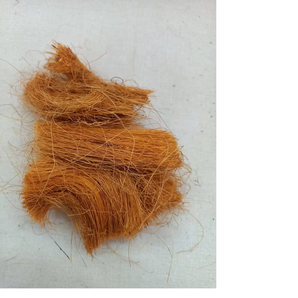 custom made natural abaca fiber cut in size 5 cm suitable for spinners and for technical, educational applications