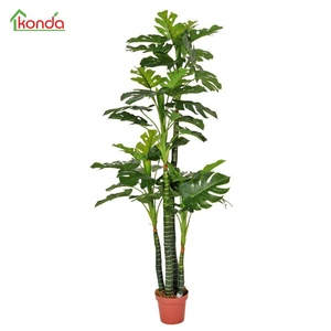 Cây Cỏ Nhân Tạo Trang Trí Cây Cỏ Nhân Tạo Và Cây Nhựa Trong Nhà Chống Nước 45-240CM 20 "Thùng 30% T/T 35 Ngày - Product Image 6