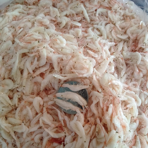 กุ้งแห้งเวียดนามทอดและบรรจุภัณฑ์แบบขายส่งสำหรับเกาหลี ติดต่อมาเซ็ต 0084 989 322 607 - Product Image 1