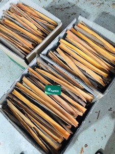 ก้านดิบเครื่องเทศสมุนไพรแห้งที่เก็บรักษาด้วยน้ำมันจากทับทิมโดยตรงจากเวียดนาม (+ 84) - Product Image 4