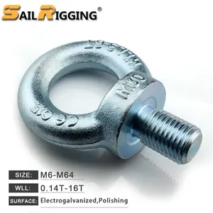 Lifting Gegalvaniseerd Ik Bolt 6Mm 8Mm M24 Din580 C15e Eye Bolt