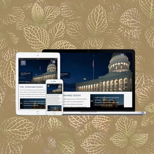 บริษัทออกแบบและพัฒนาซอฟต์แวร์แอปเว็บไซต์ในอินเดีย | บริการพัฒนาซอฟต์แวร์มือถือที่ได้รับรางวัลโดยWebroot - Product Image 1