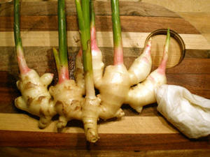 Vente chaude NOUVELLE CULTURE 2024 gingembre séché vietnamien zingiber officinale à bas prix - Product Image 6