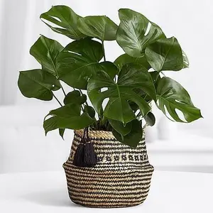 Vietnam 100% Natuurlijke Materialen Zeegras Tuin Potten Plant Pot Houder Indoor Met Redelijke Prijs