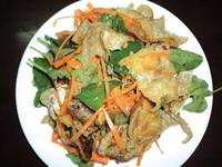 Peau de saumon séchée en gros, certifiée ISO, qualité supérieure, très bon marché, en provenance du Vietnam