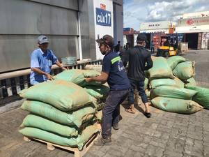 POLVO DE INCENSO VIETNAM MAKKO para el PROCESO DE FABRICACIÓN DE INCENSO / Jonathan +84766909341 - Product Image 4