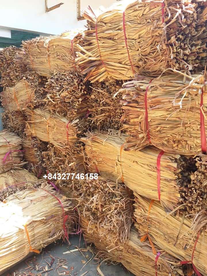 ธรรมชาติ