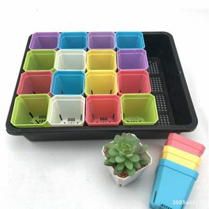 Pentole Vassoio di Vivai Germinazione Dei Semi di Piante grasse Succulente Planter Vaso di Fiori con Coperchi Scatola Crescere Idroponica Piantina Vassoio - Product Image 1