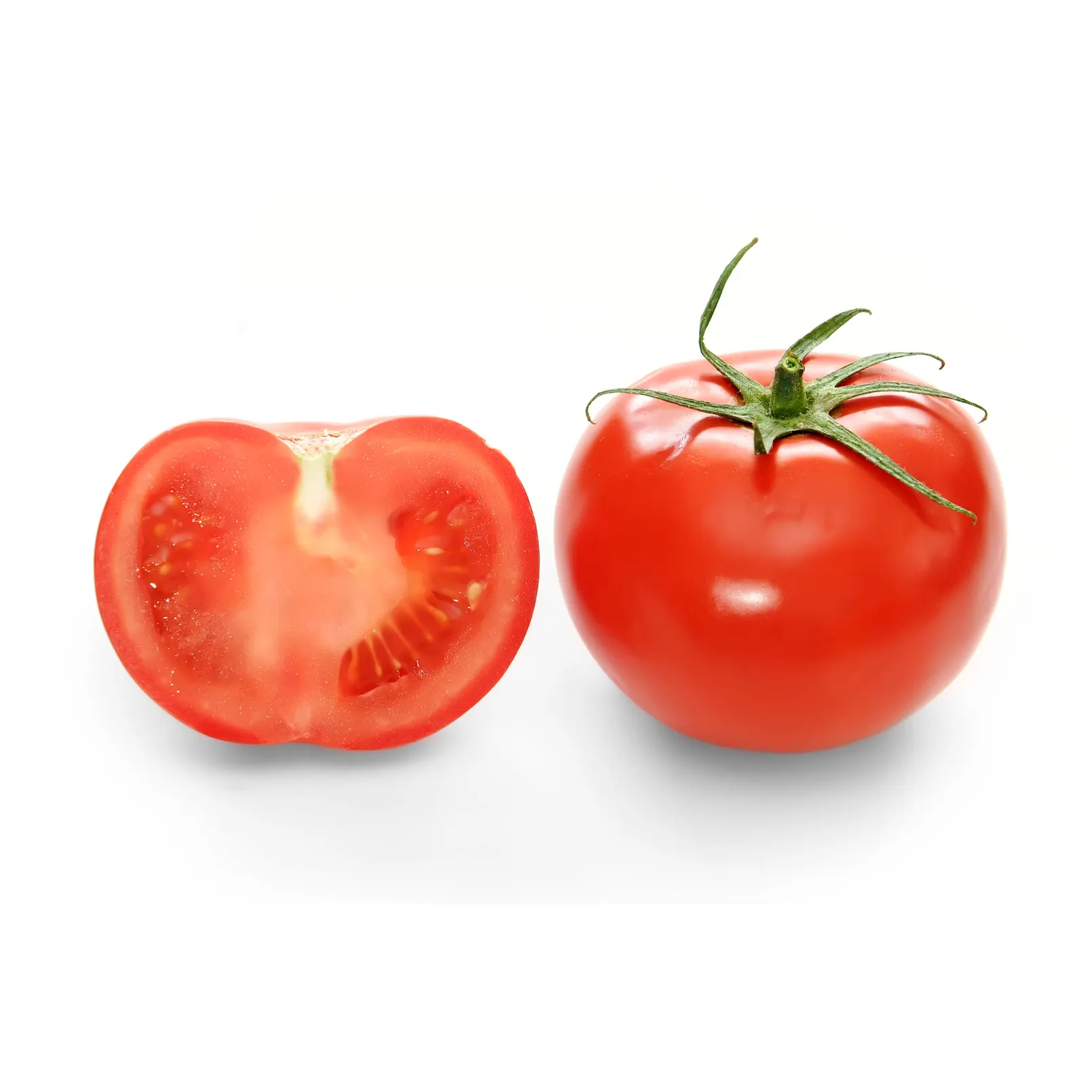 2021 Best Price Wholesale Fresh Tomatoes / Newest Crop Fresh Tomatoes For Export
