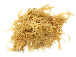 [Offre Spéciale] Sargassum Muticum Séché de Haute Qualité / Algues Marines Séchées du Vietnam - Product Image 1