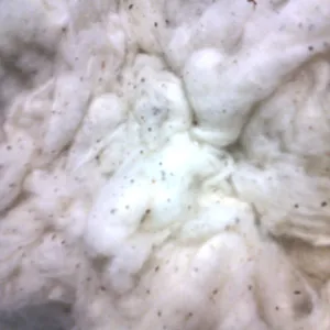 Striscia piatta cotone rifiuti 'B' grado 100% cotone piatto