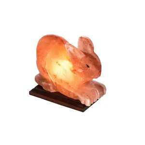 Di alta qualità a forma di coniglio di colore rosa himalayano organico lampada di sale con imballaggio-Sian imprese