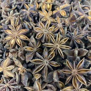 Anís de estrellas secas, anís de alta calidad en Vietnam, WhatsApp, 84, 36, 35, 65, 928 - Product Image 6