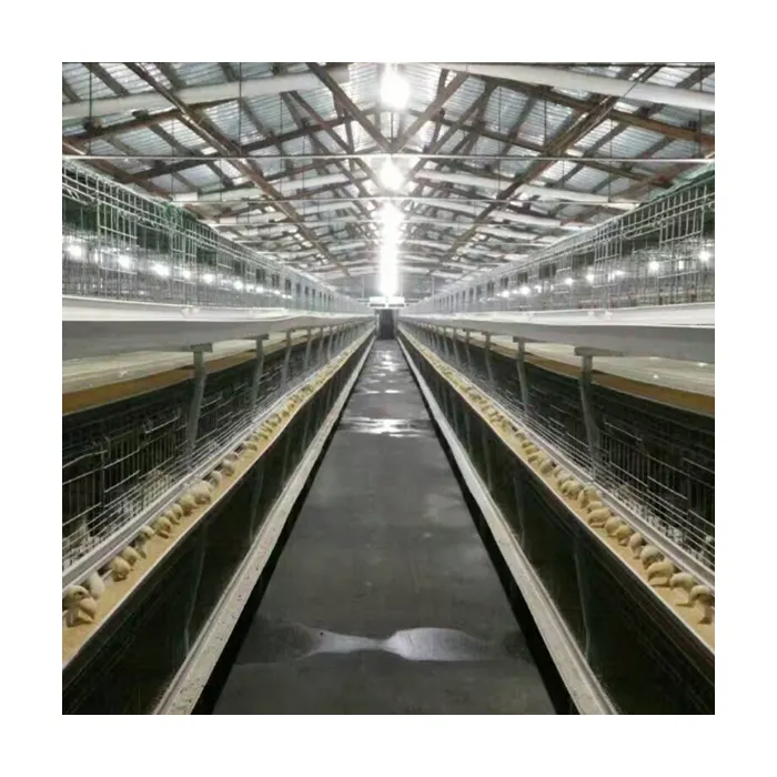 battery chicken cage/layer chicken battery cage/chicken layer cage for sale