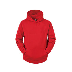 Venta al por mayor de sudaderas con capucha de los hombres logotipo personalizado impreso y bordado 100% algodón para el otoño - Product Image 1