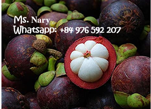[Top Grade] 100% Naural Fresh Mangosteen in Vietnam / Ms. Nary +84 976 592 207 - Product Image 2