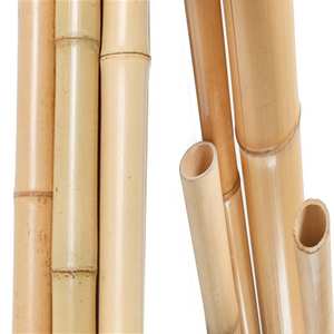 Perche en bambou du Vietnam pour la Construction, taille personnalisée, pour Agriculture de plantes de jardin, vente en gros, prix direct usine - Product Image 4