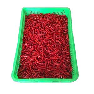Poivron rouge long surgelé IQF cultivé en serre au Vietnam, super piquant et épicé, qualité supérieure, taille 4 cm à 6 cm, prix raisonnable - Product Image 1