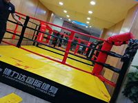 Bagues de boxe standard internationale, en forme d'anneau au sol, de haut type, pour la lutte, 7m x 7m, accessoires à vendre, 1 pièce