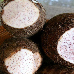 Khoai Môn Từ Việt Nam - Product Image 1