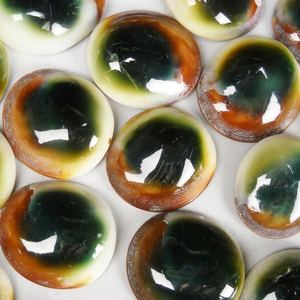 Coquilles de chat vert, coquillages, opercule 1 2 1, artisanat, décoration, RARE, en vrac, à vendre en ligne - Product Image 6