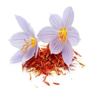 Saffron Extract (NX)