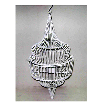 แสดงภาพ