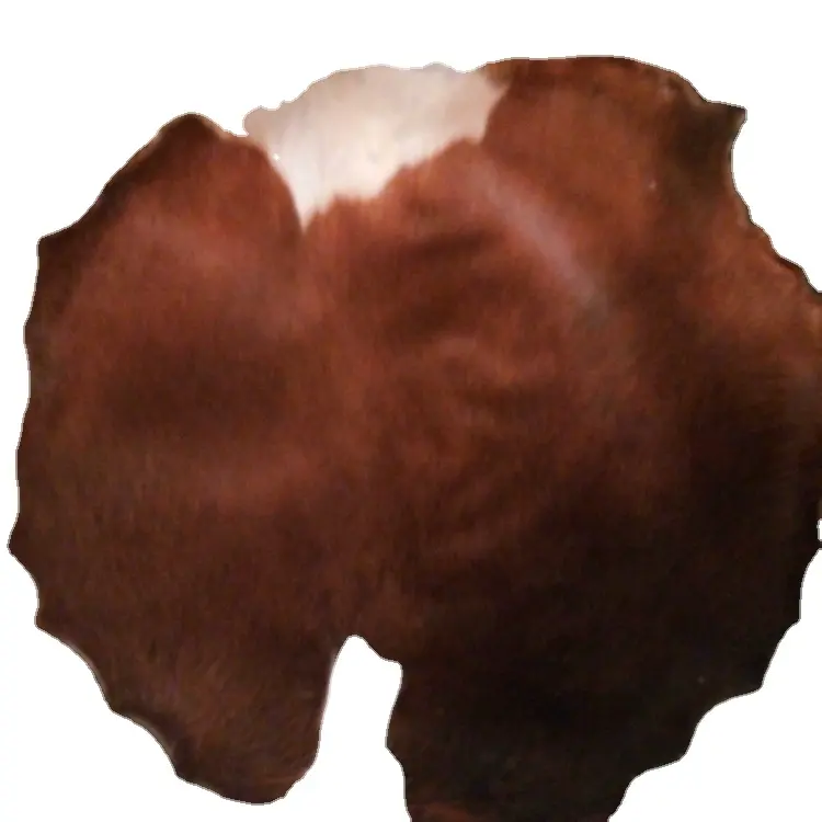 Pieles de vaca de Color marrón personalizadas, para cabezal de tambor