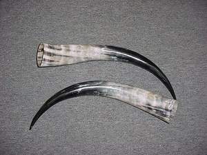 Natural Pair <b>Horn</b> and for Sale From cm Raw Material <b>Buffalo</b> <b>Horn</b> With for Shape Customized Price for Medium Size - Product Image 6