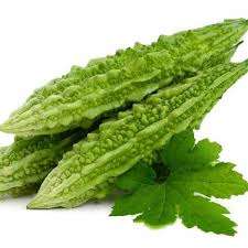 Huile de transporteur de gourde amère en vrac de meilleure qualité pour l'aromathérapie Prix raisonnable exportateur - Product Image 4