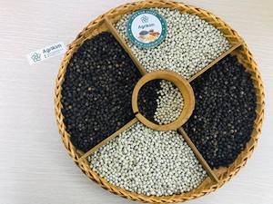 พริกไทยดำอบแห้ง Agrikim Direct เบอร์ 1 ผู้ผลิตจากเวียดนาม อบแห้งด้วยระบบ AD ได้รับการรับรองมาตรฐาน ISO บรรจุภัณฑ์ตามสั่ง รับประกันราคาถูก - Product Image 5