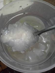 GEL DE ALOE VERA DE ALTA CALIDAD Y BUEN PRECIO EN VIETNAM// PULPA DE ALOE VERA// Lima - Product Image 4