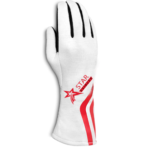 Guantes de carreras unisex con logotipo personalizado, guantes de moto de agarre completo de alta calidad con dedos largos, venta al por mayor para carreras de invierno y verano - Product Image 4
