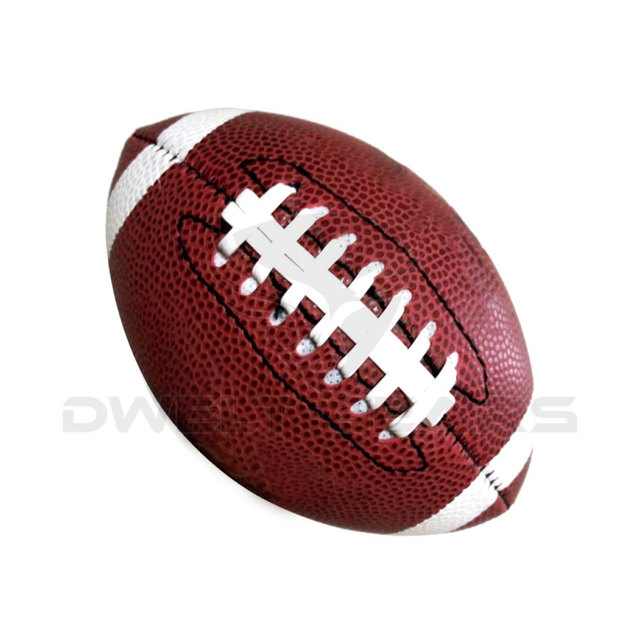 High Quality DWELT GEARS DG-2302 Genuine Leather Mini Size Training Football Super Grip Comfortable Printed American Logo OEM