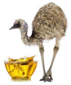 Aceite Portador de Emú (Semillas de Dromaius Novae-Hollandiae) Origen Australia, Certificado GMP, Método de Refinación AARNAV GLOBAL EXPORTS - Product Image 1