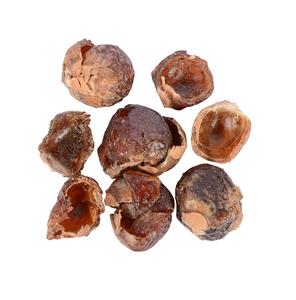 ¡Caliente! ¡Caliente! Soapnut-jabonera a granel, saponina, buena calidad - Product Image 6