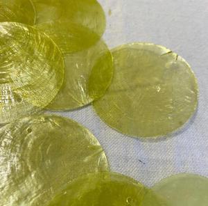 Concha de mar Natural, Selenita Selena - Product Image 4