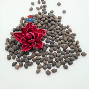 เวียดนามคั่วเมล็ดบัวสีขาวขนมขบเคี้ยวเพื่อสุขภาพเดิม - Product Image 4