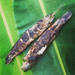 BANANA FRESCA BANANA PARA ENVASAR ALIMENTOS - Product Image 5