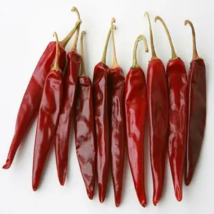 Teja S-17 red chilli with stem