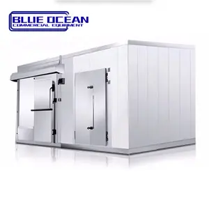 Stainless Steel Cold Room Beef and Chicken Freezer Equipment Walk In Cold Room