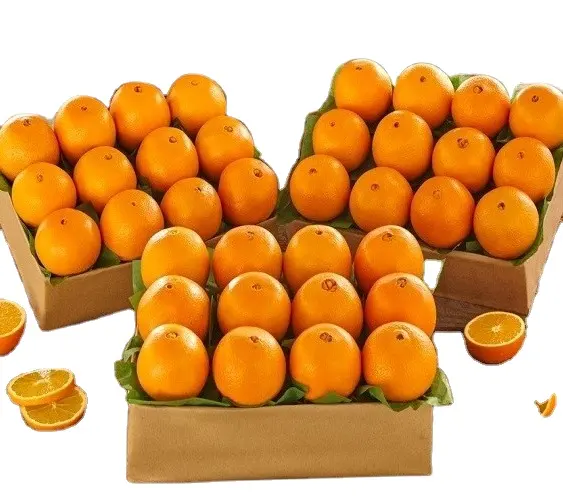 Yüksek kaliteli lezzetli % 100% doğal sınıf A taze turunçgiller tatlı göbek geç şerit turuncu