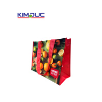 Haute Qualité Vietnam Écologique Non Tissé Animal Prints Sac Fourre-Tout PP Tissé Cadeau Lamination Recyclable Promotionnel Sacs À Provisions
