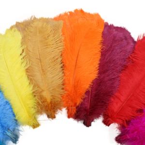 Grandes plumes d'autruche lisses de haute qualité, 25-<span class=keywords><strong>30CM</strong></span>, 1 pièce, pour garniture de plumes, différentes couleurs, bon marché, blanc, 15-75cm, vente en gros - Product Image 5