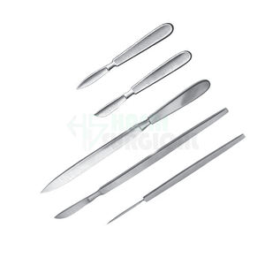 Cuchillos Quirúrgicos Bergmann, Cuchillos Médicos Dentales de Acero Inoxidable Personalizados por Hasni Surgical - Product Image 2