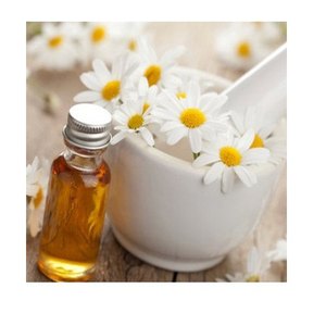 Hidrolato de Manzanilla Romana Orgánica al Mejor Precio, Certificado GMP, Directamente de Fabricantes Reconocidos de Hungría, Flores Frescas Procesadas al Vapor - Product Image 2